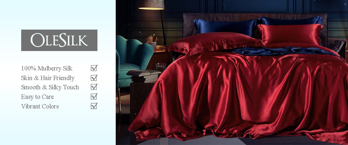 Olesilk 22 Momme 100% Mulberry Silk Duvet Cover – OLESILK