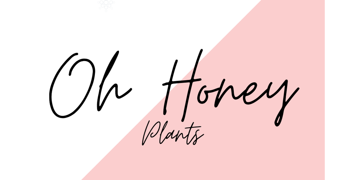 Products  Oh Honey Plants