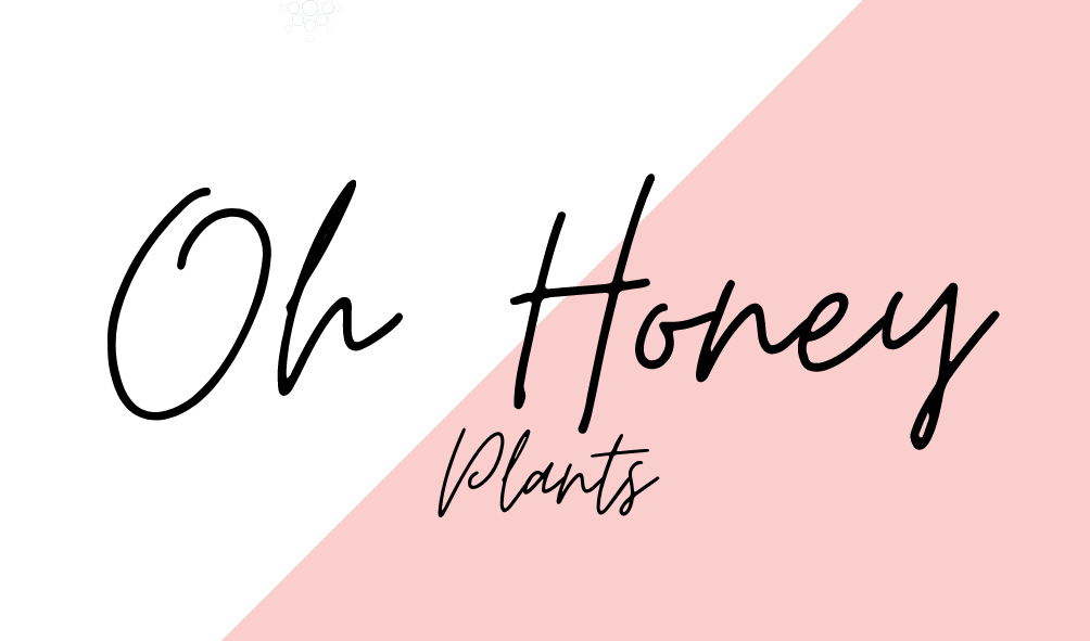 Products  Oh Honey Plants
