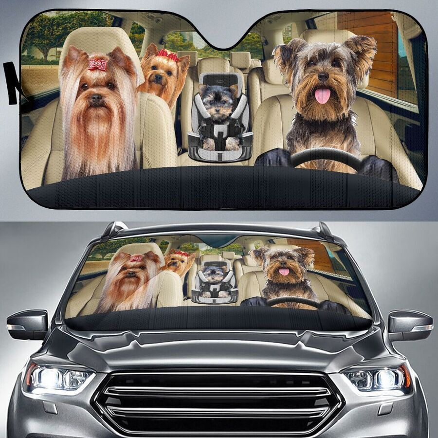 custom car sun shade