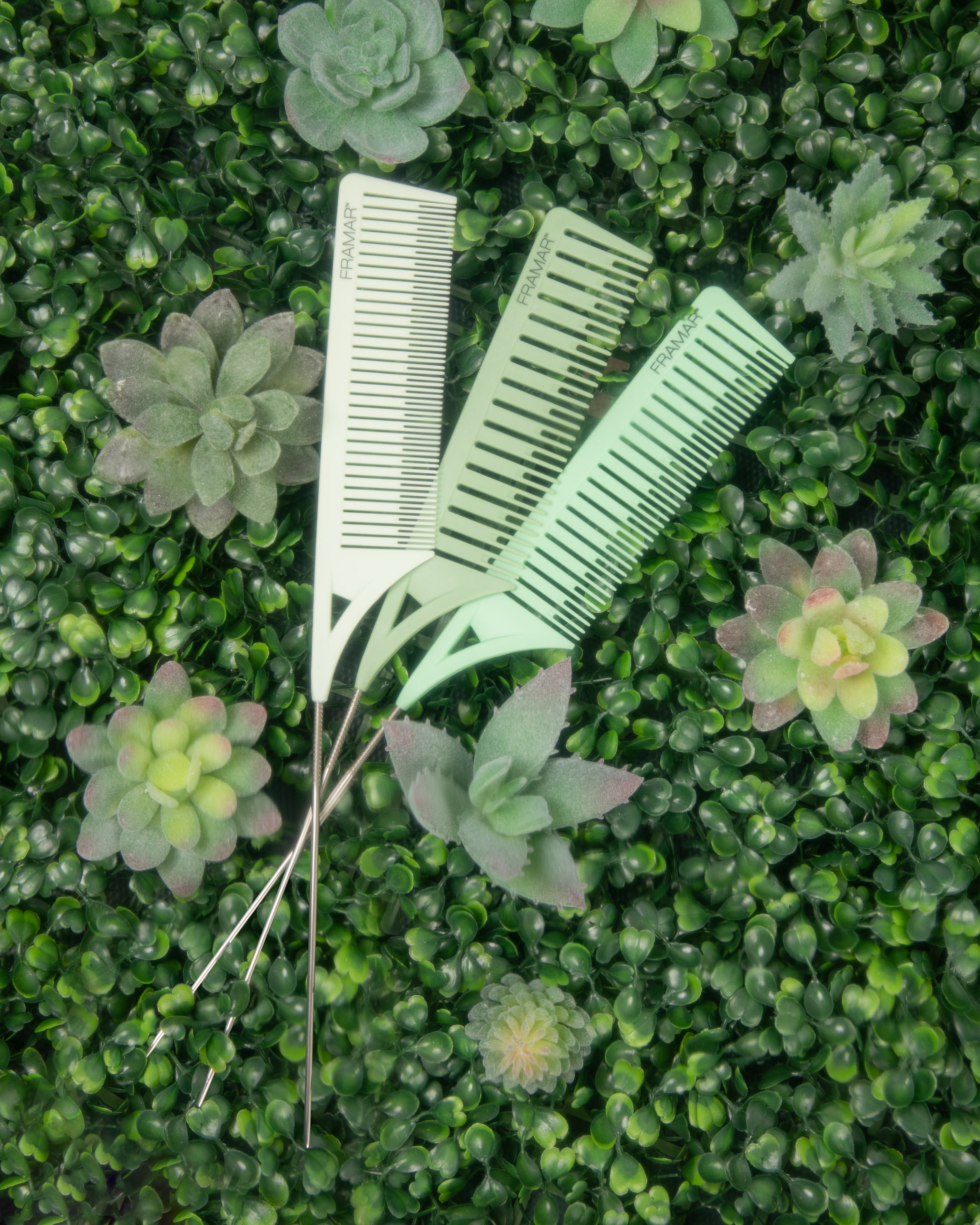 Hair combs and pins on a background of artificial green succulents.