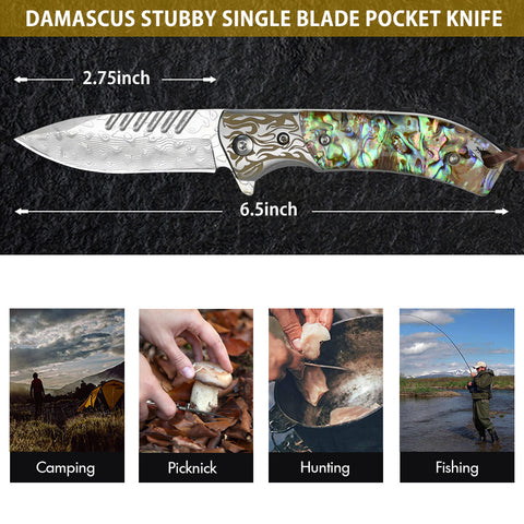 Abalone Seashells Damascus Pocket Knife with 2.5 Blade – NEDFOSS