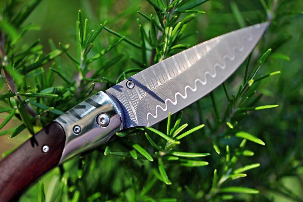 Swordfish Damascus Pocket Knife, VG10 Damascus Steel Blade and Sandalwood Handle