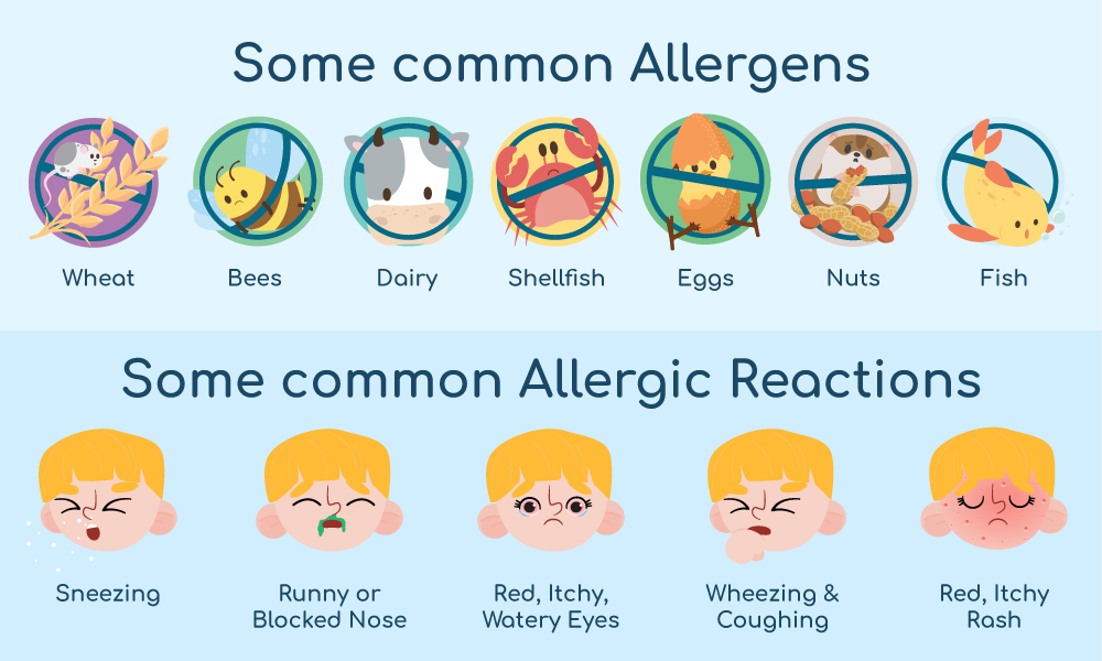 Allergy labels allergens