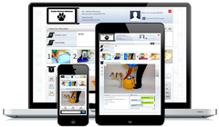 Canine Exercise Solutions World S Best Online Canine Exercise