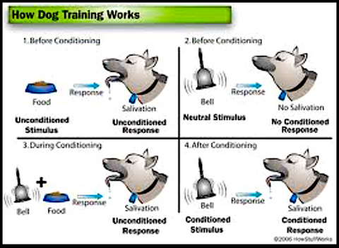 Classical Conditioning (notes from Clicker Expo)