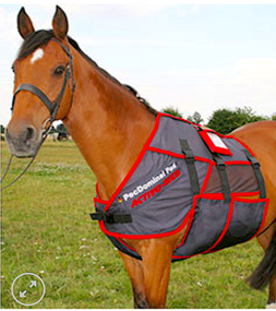 hydrotherapy boots for horses