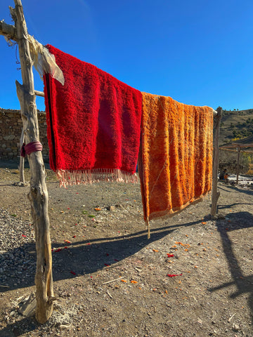 Colorful Moroccan Rug in Sun