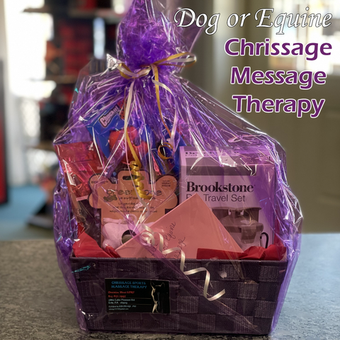 Chrissage Sports Massage Therapy Custom Audio Erie PA