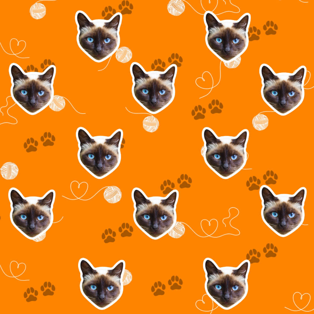 cat wrapping paper