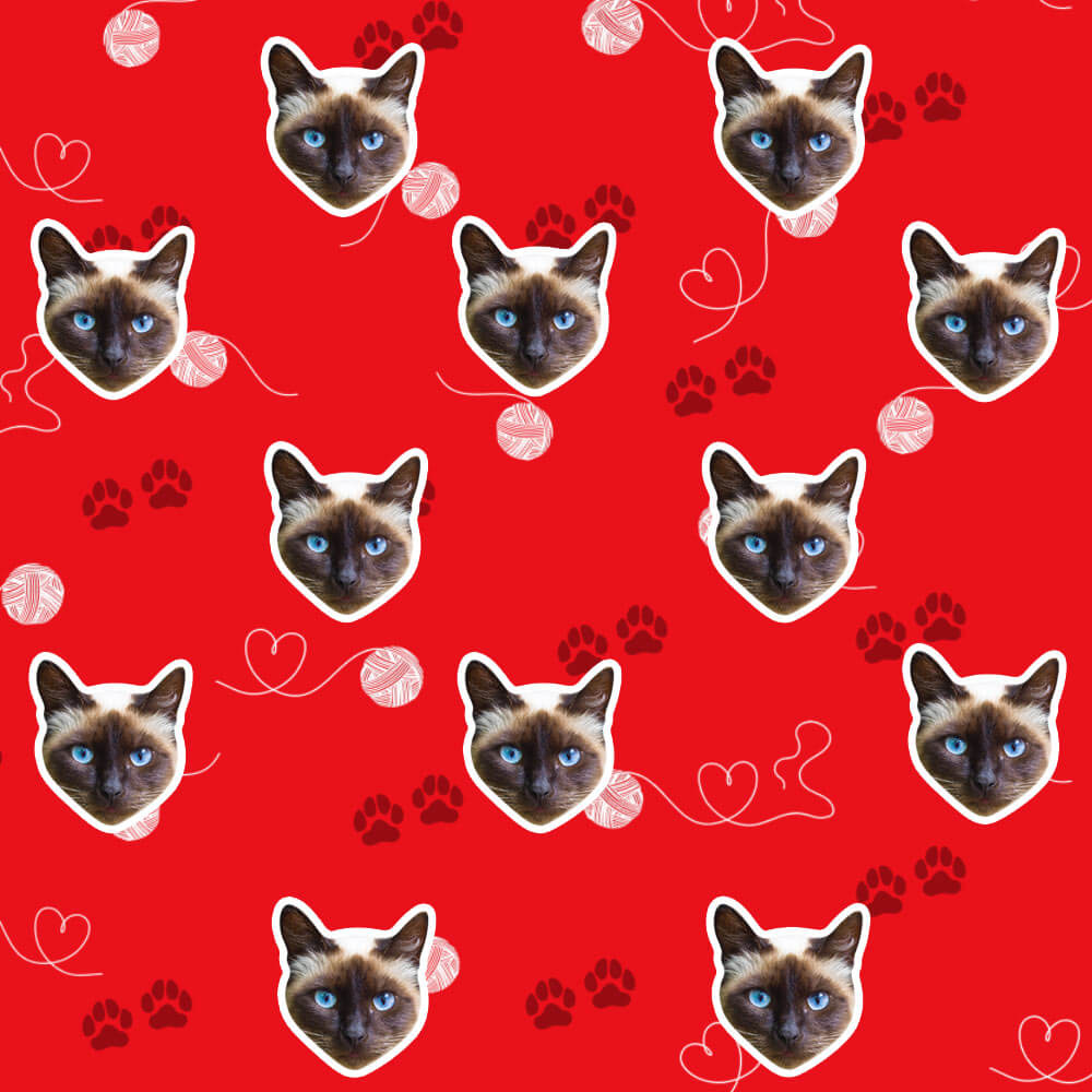 cat wrapping paper