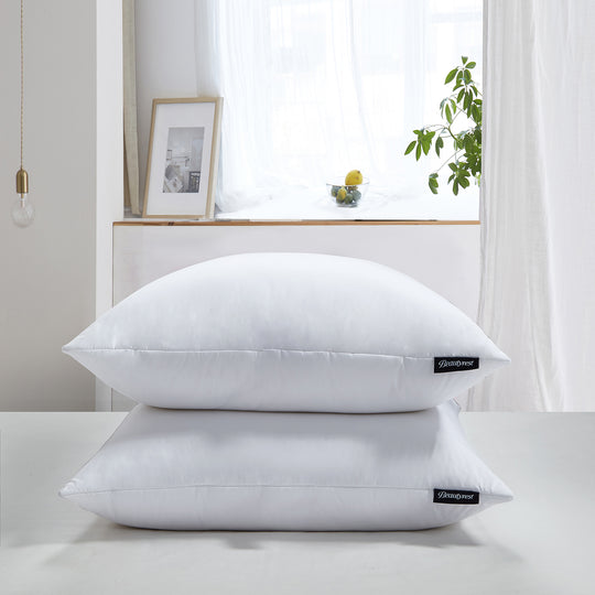 Blue Ridge Home Fashions Jumbo 2-Pack Down Pillows in White