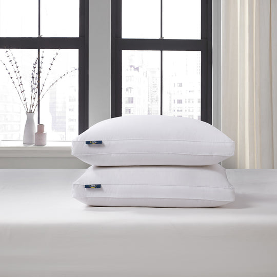 Blue Ridge Home Fashions Jumbo 2-Pack Down Pillows in White