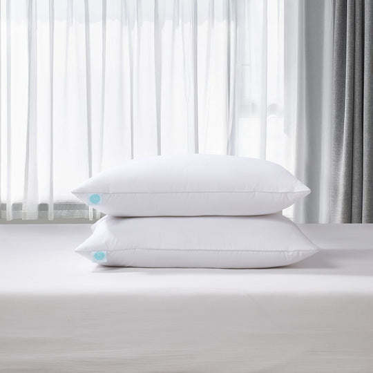 Martha Stewart Living 100% Cotton Euro-Square Firm Feather Pillow (2-Pack)  MS200901K - The Home Depot