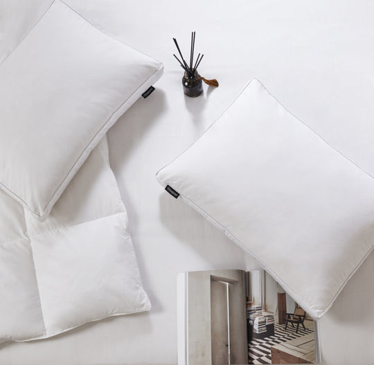 Blue Ridge Home Fashions Jumbo 2-Pack Down Pillows in White