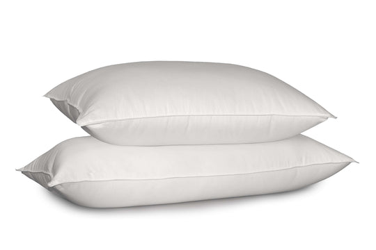 Blue Ridge Home Fashions Jumbo 2-Pack Down Pillows in White