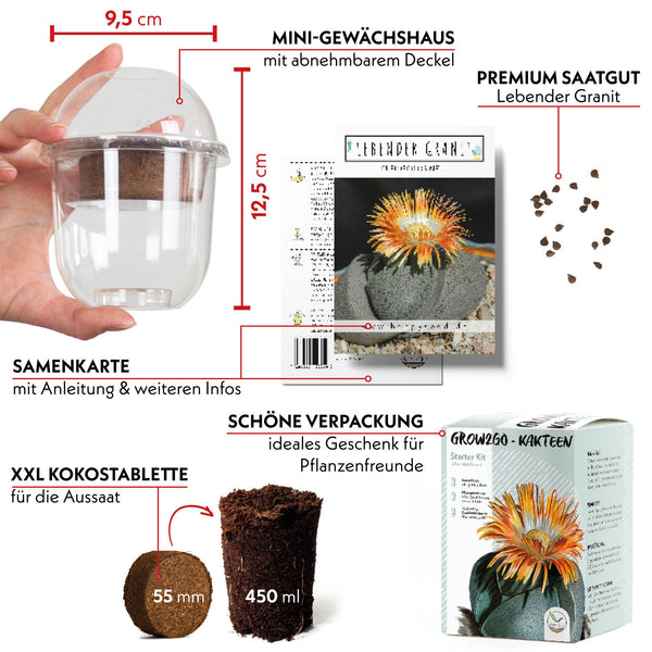 Kakteen Anzuchtset mit Mini-Gewächshaus, Kaktus Samen & Erde – HappySeed