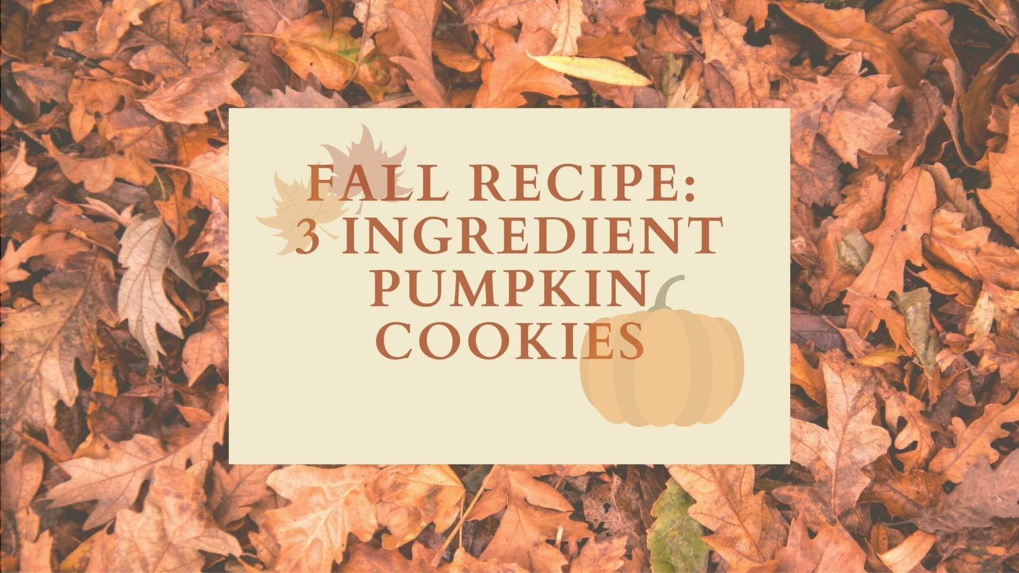 3 Ingredient Pumpkin Cookies