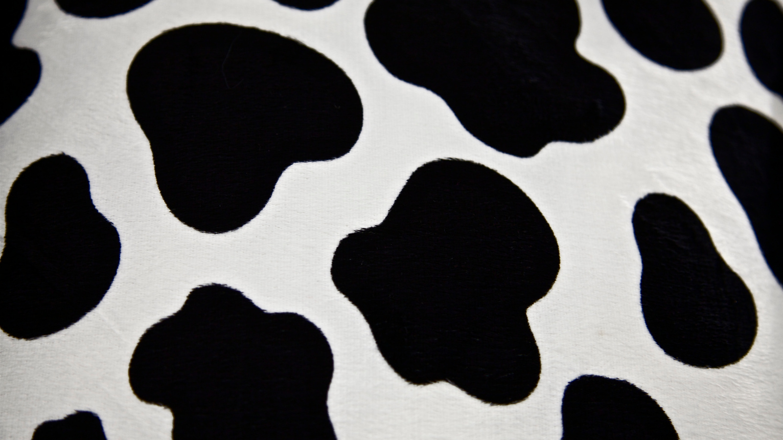 cow print