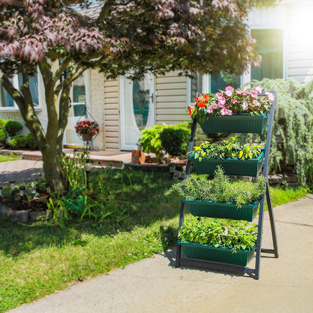 plants-for-a-vertical-garden-how-to-create-a-living-wall