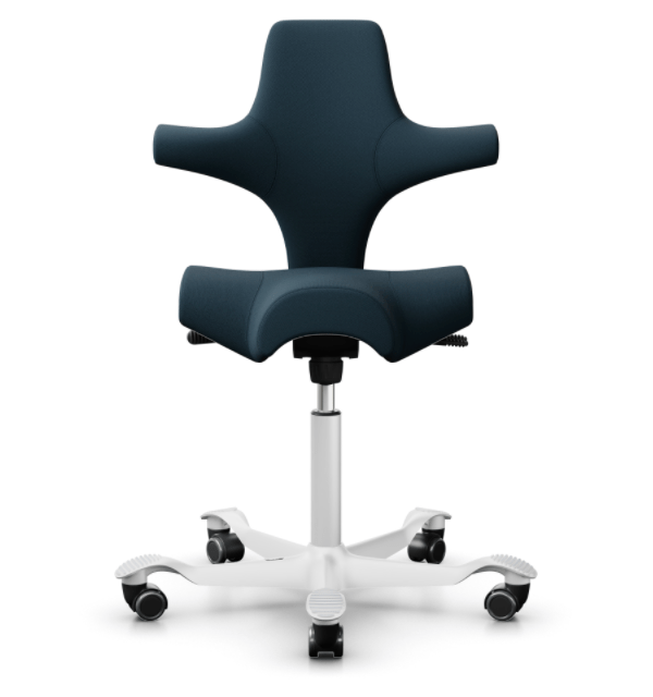 The Best Posture Chair - obVus Solutions product image