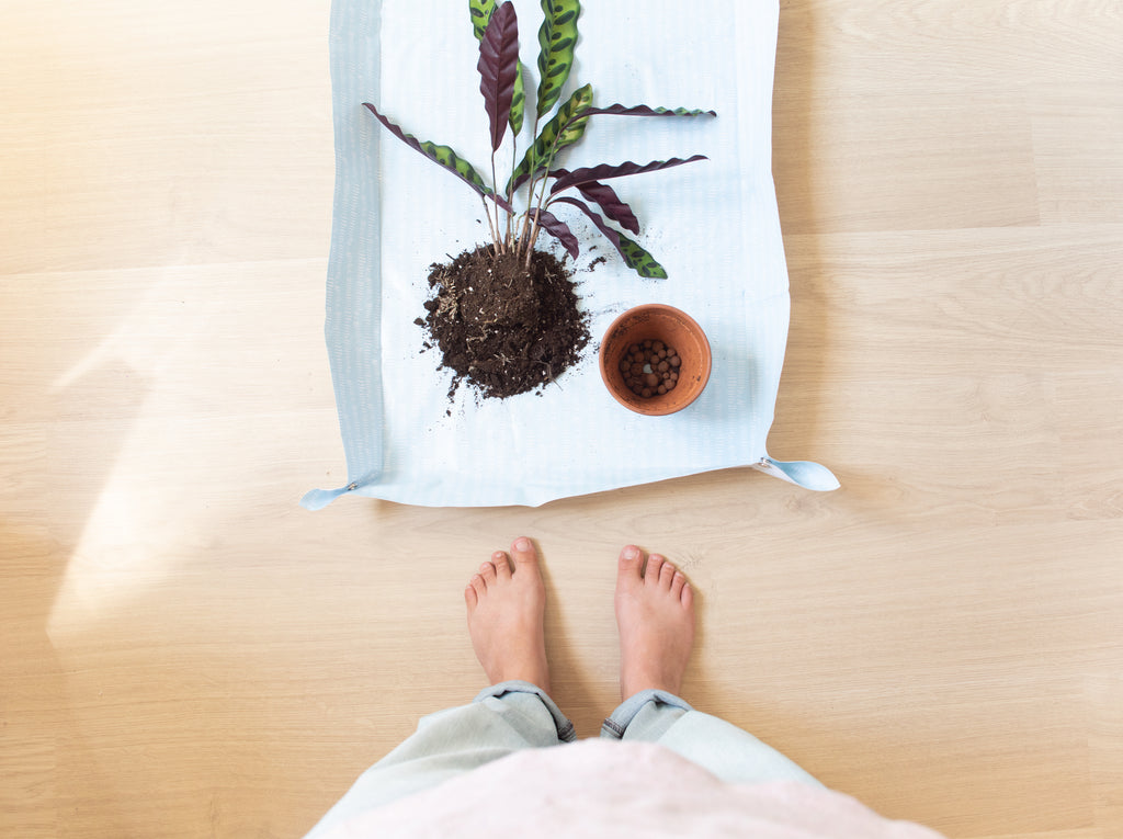 DIY tapis de rempotage