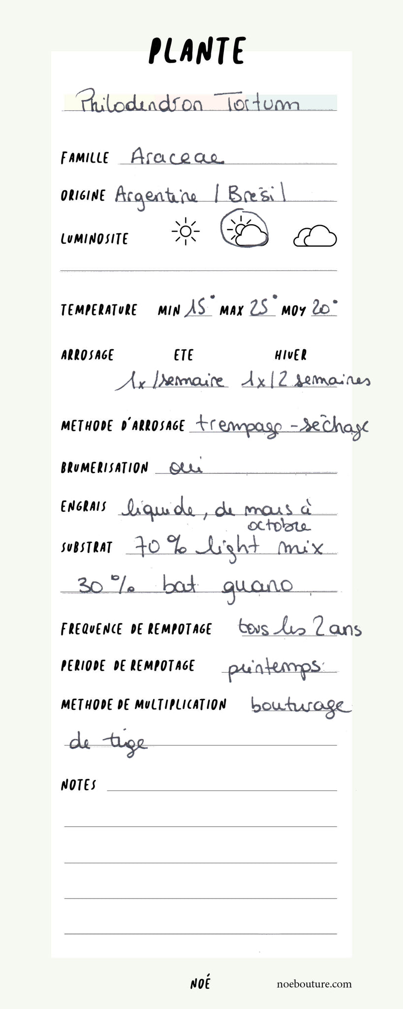 Fiche conseils plante entretien - philodendron tortum