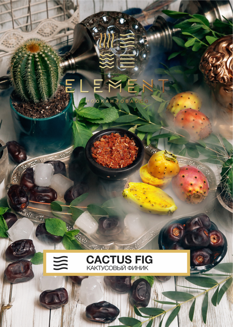 Element Air Line Cactus Fig - 