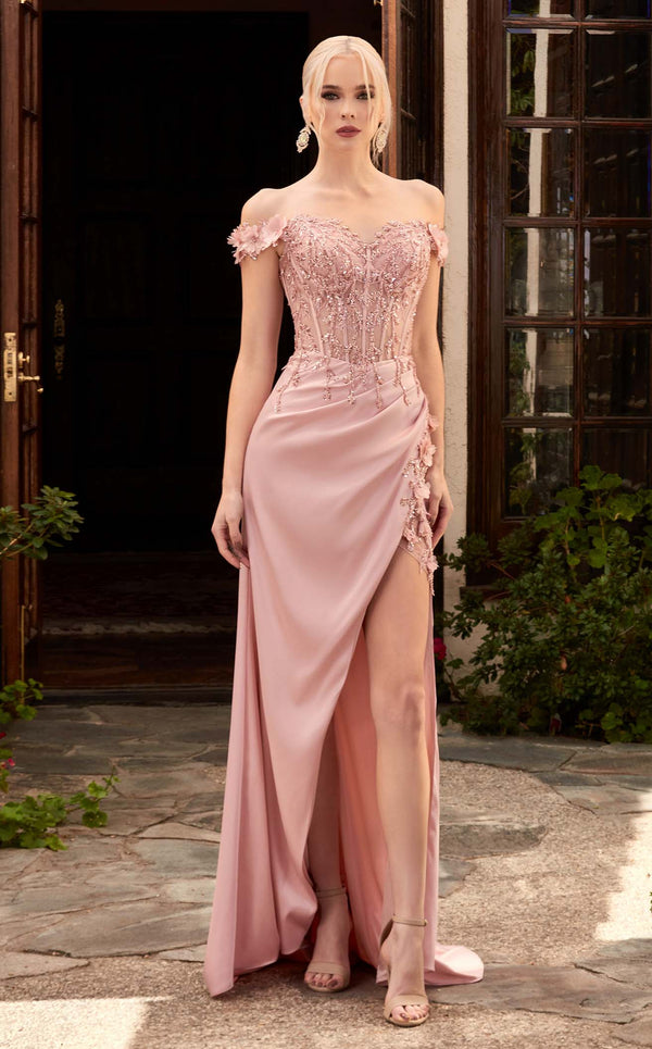 Blush Cinderella Divine CD0192 Long Sleeve Evening Formal Dress for $149.0,  – The Dress Outlet