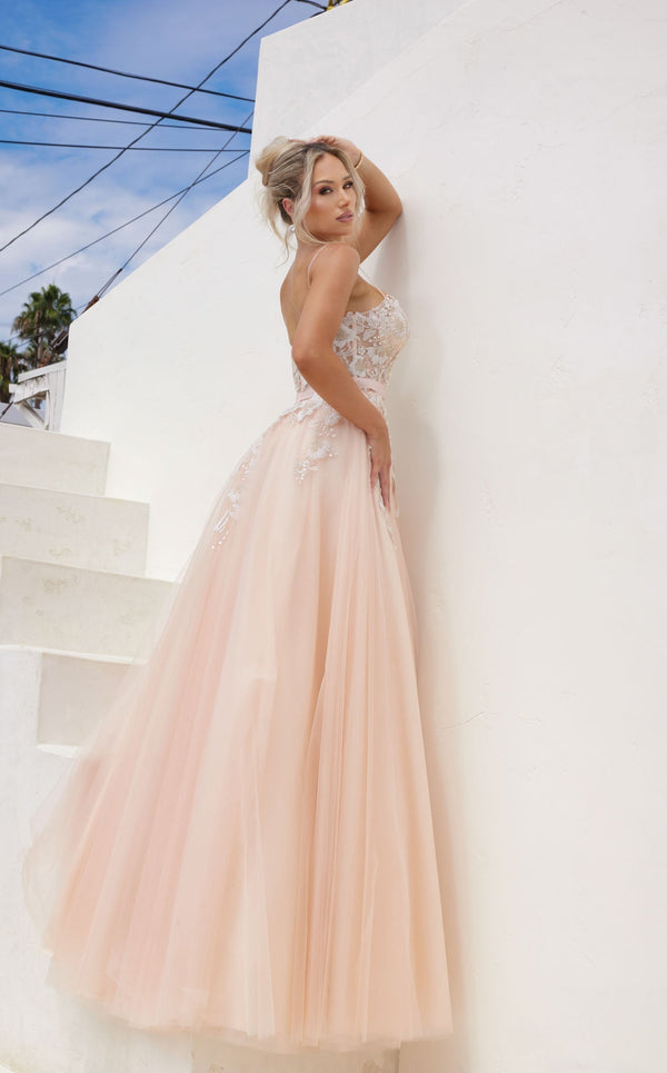 241P2195 A-Line Sleeveless Beaded Tulle Blush Long Prom Dress