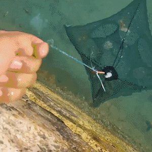 Magic Fishing Trap - OmniFish