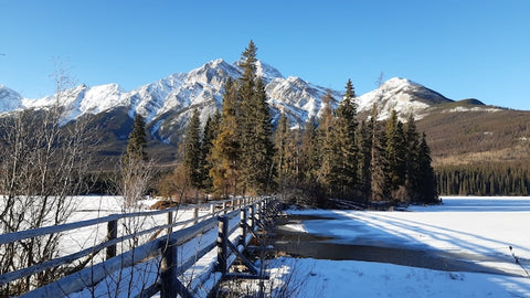 Icefields Parkway Trail, Alberta