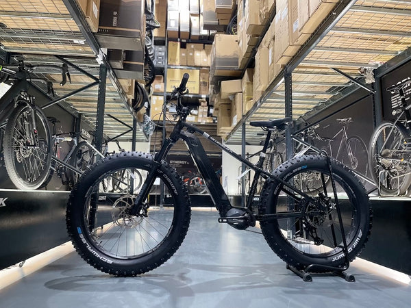 my dream bike - ebike