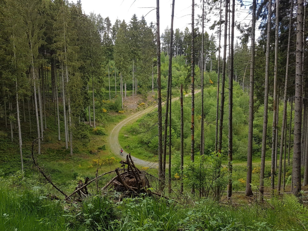 cycle-paths-trails-adventure-seekers-germany-melkerei