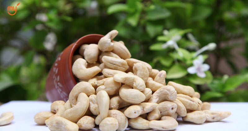 Cashew nuts bowl