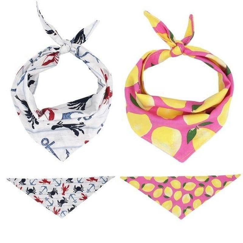 Anchor & Lemon Dog Bandana Set for dogs, dog clothes, dogs clothes, dog clothing, small dog clothes, dogs clothing, dog clothes female, dogs clothes boy, Dogs Clothes For Small To Medium Dog, Free Sunday, BowWow Shop - Top Dog Outfits Store