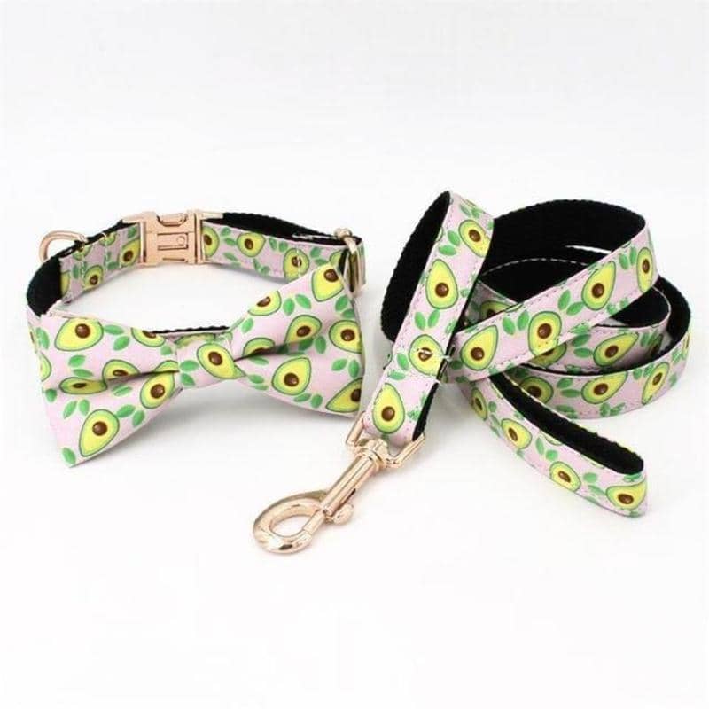 small dog collar and leash sets