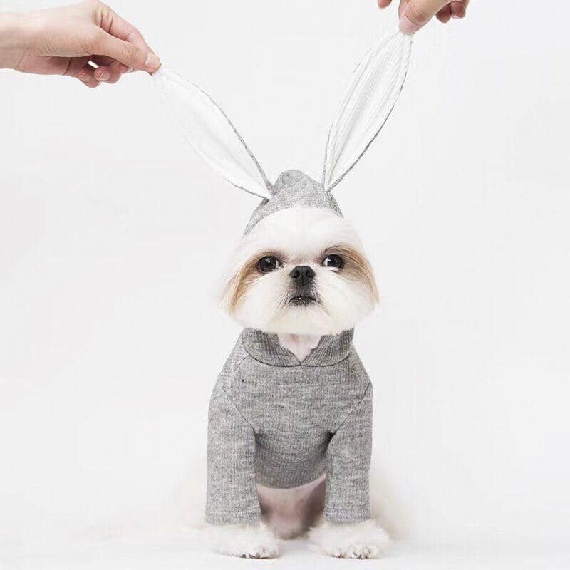 rabbit clothes online