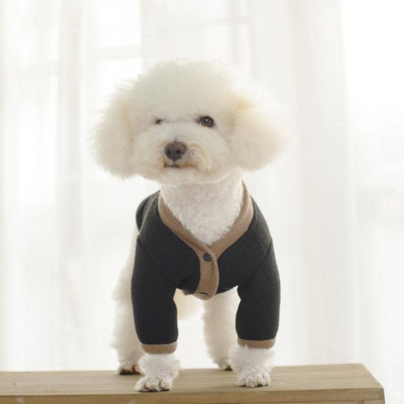 dog cardigan sweater