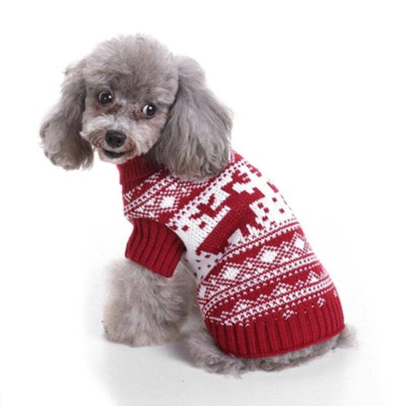 small dog christmas sweater