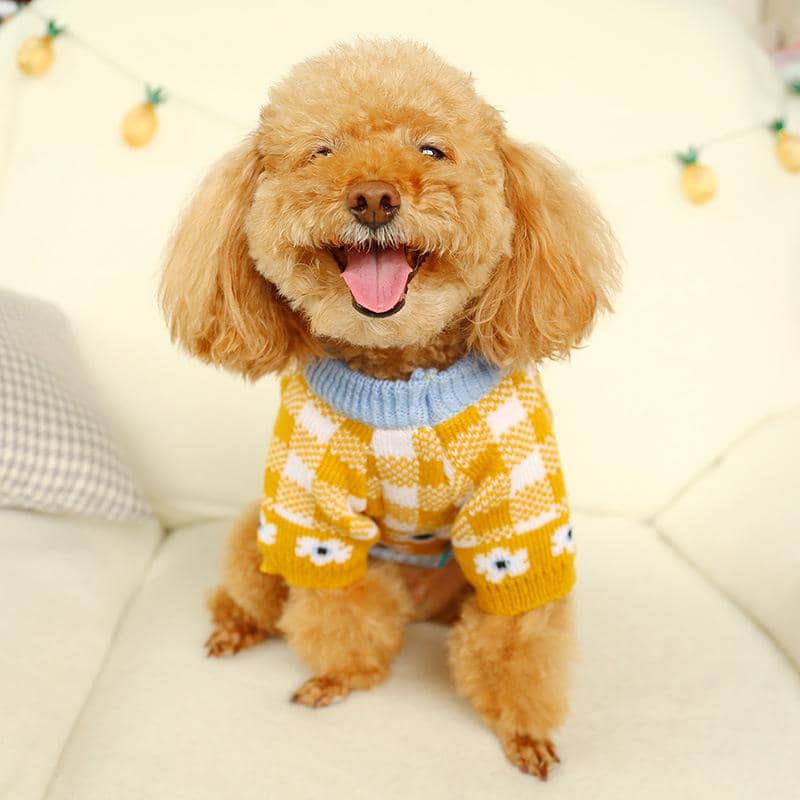 sweaters for medium dogs