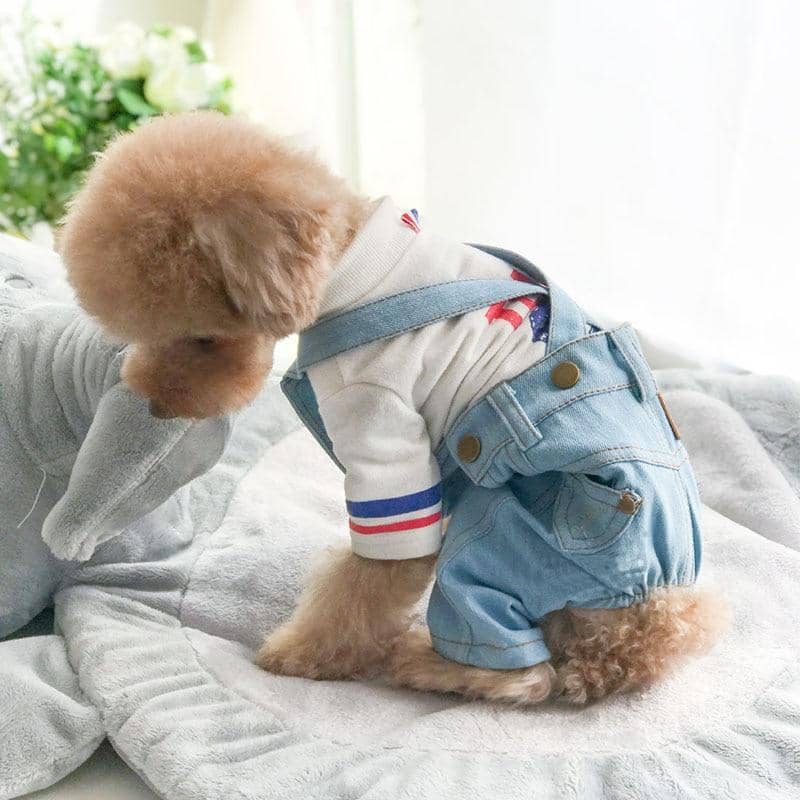 pet clothes for dogs