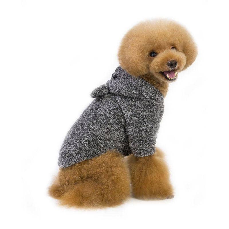 small dog clothes
