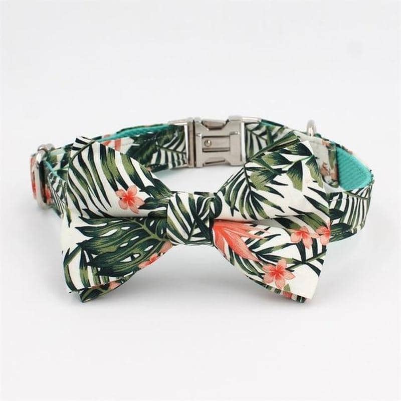 female dog collars