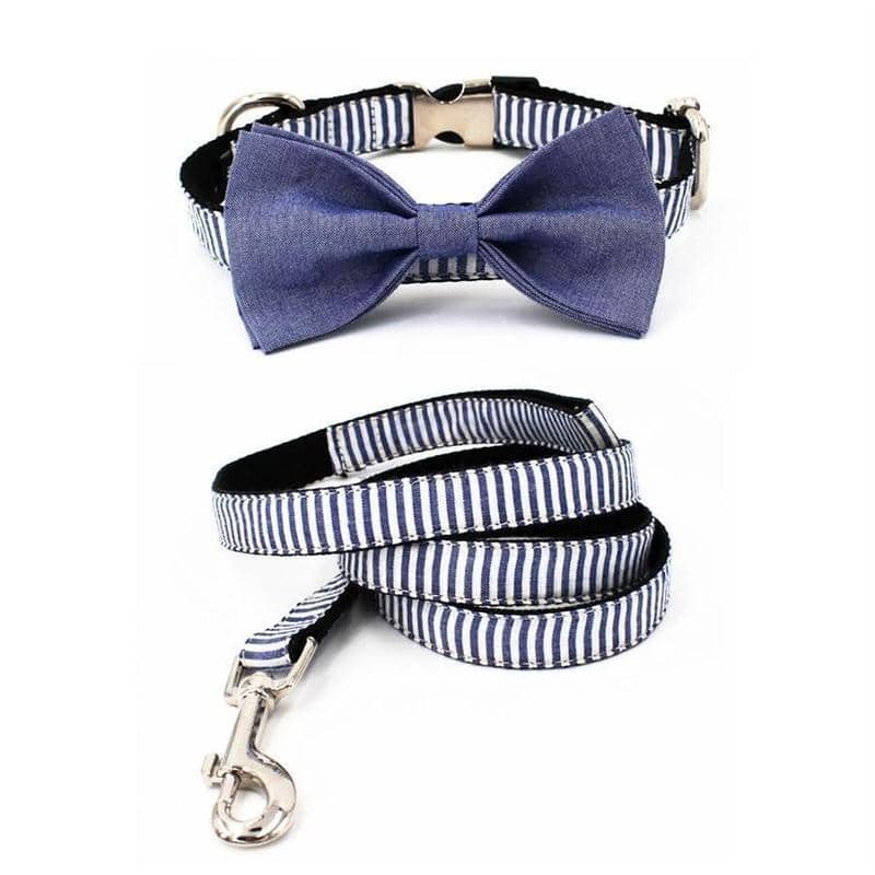 dog collar and leash set