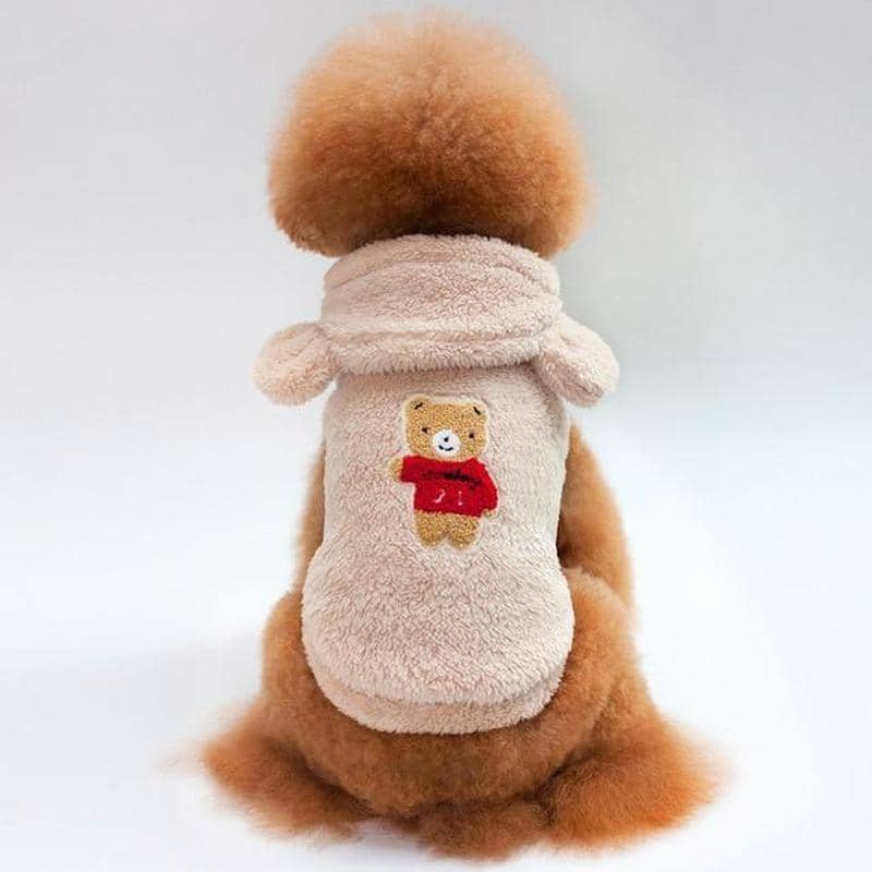 teddy bear for dogs