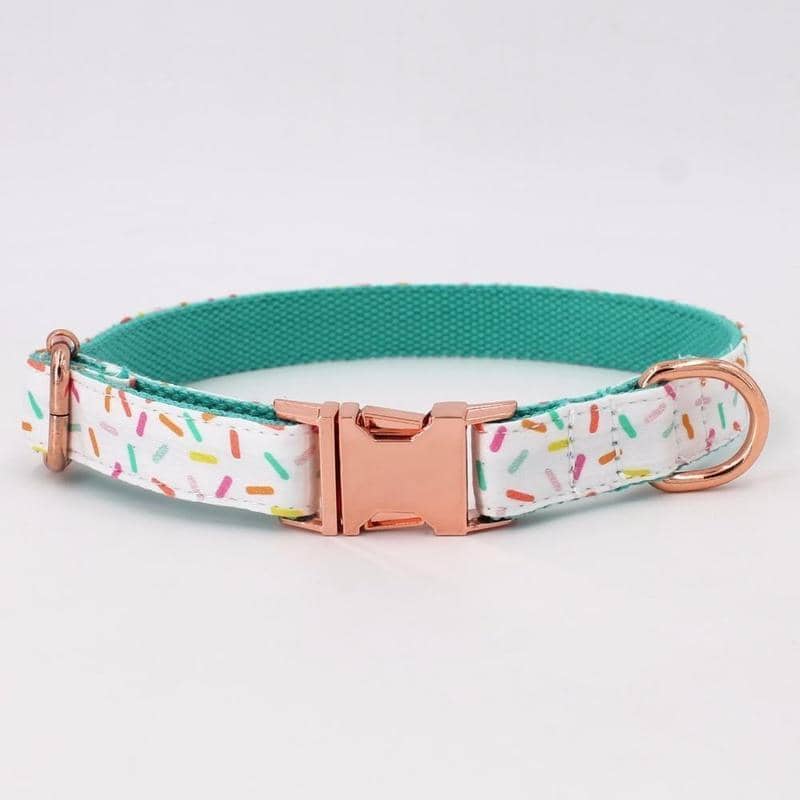 female dog collars and leashes