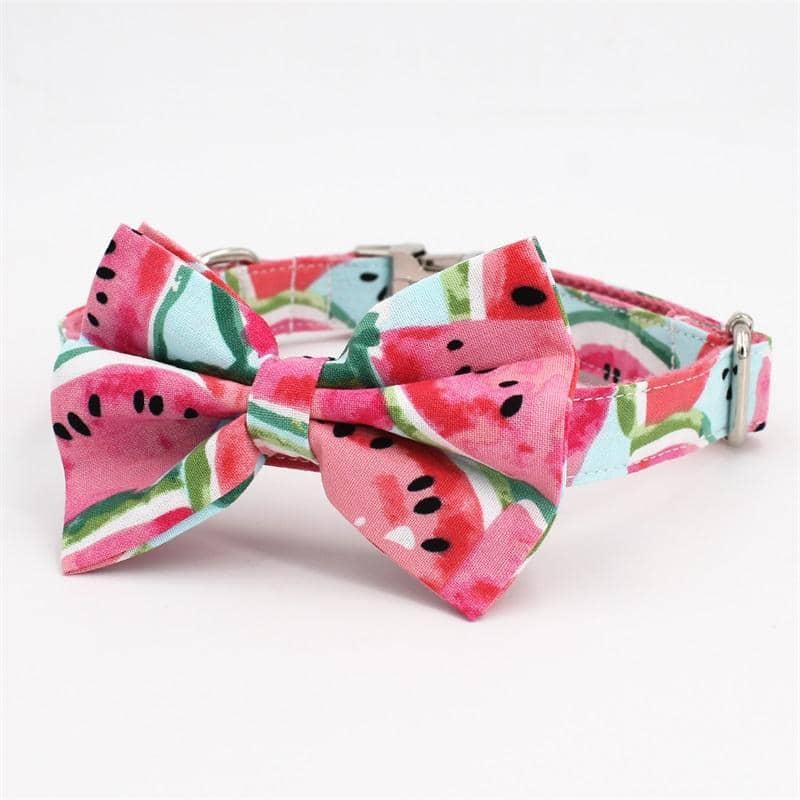 watermelon dog harness