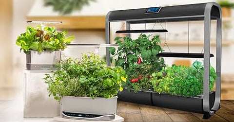 Aerogarden Herb and Vegetable Starts - great for cilantro, chives, oregano and more