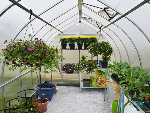 Bella Gothic Greenhouse inside view showing heating effect of polycarbonate panels